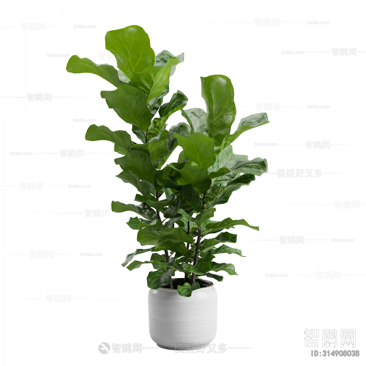 Modern Ground Green Plant Potted Plants