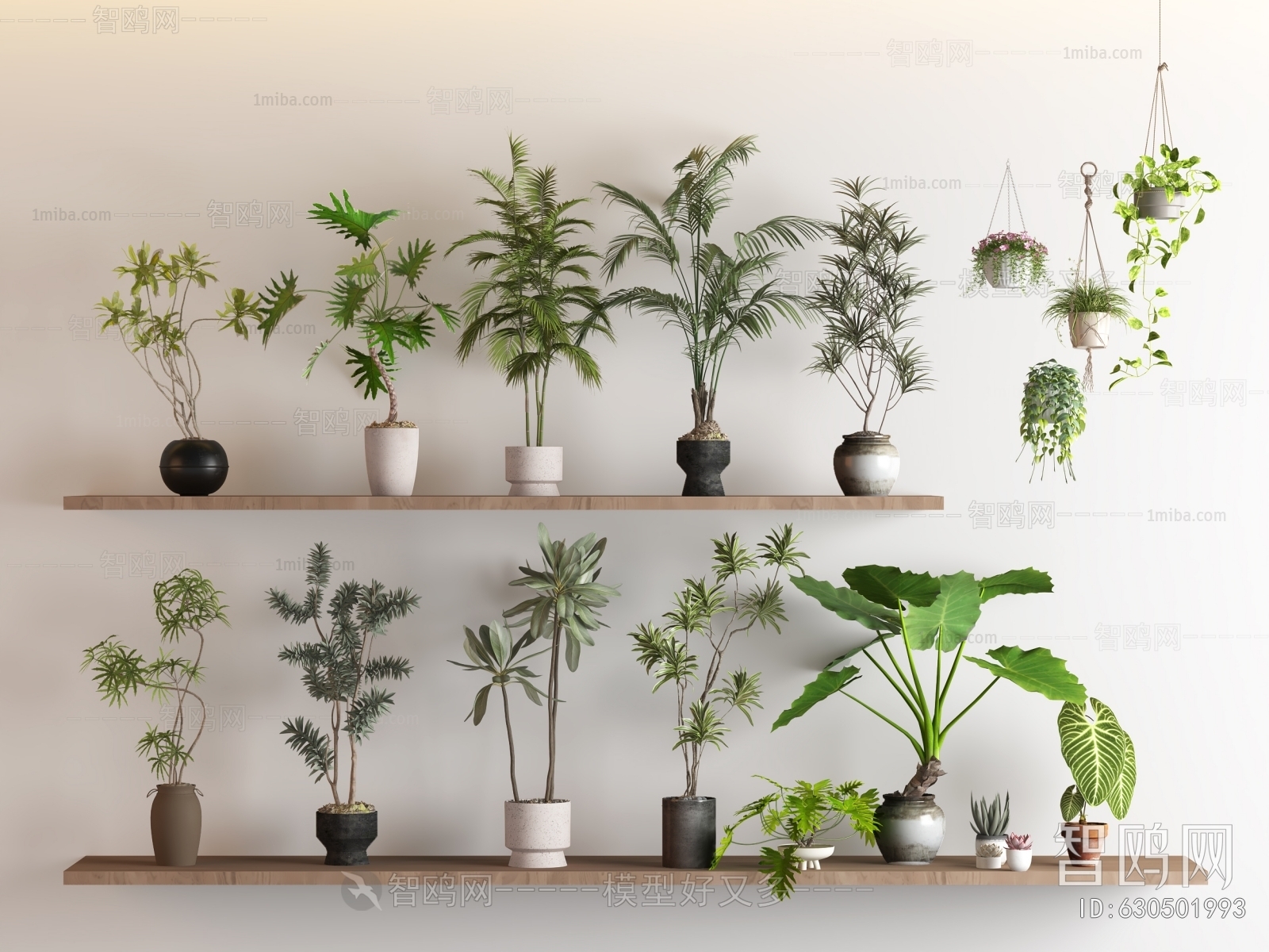 Modern Potted Green Plant