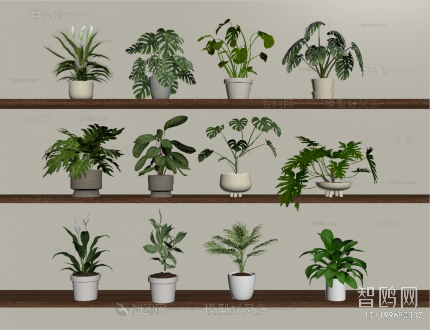 Modern Potted Green Plant