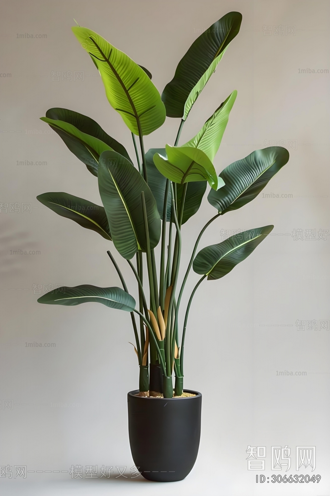 Modern Ground Green Plant Potted Plants