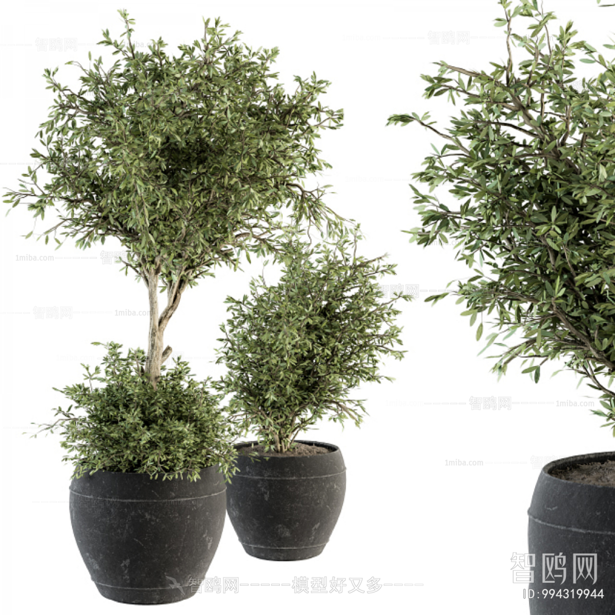 Modern Ground Green Plant Potted Plants