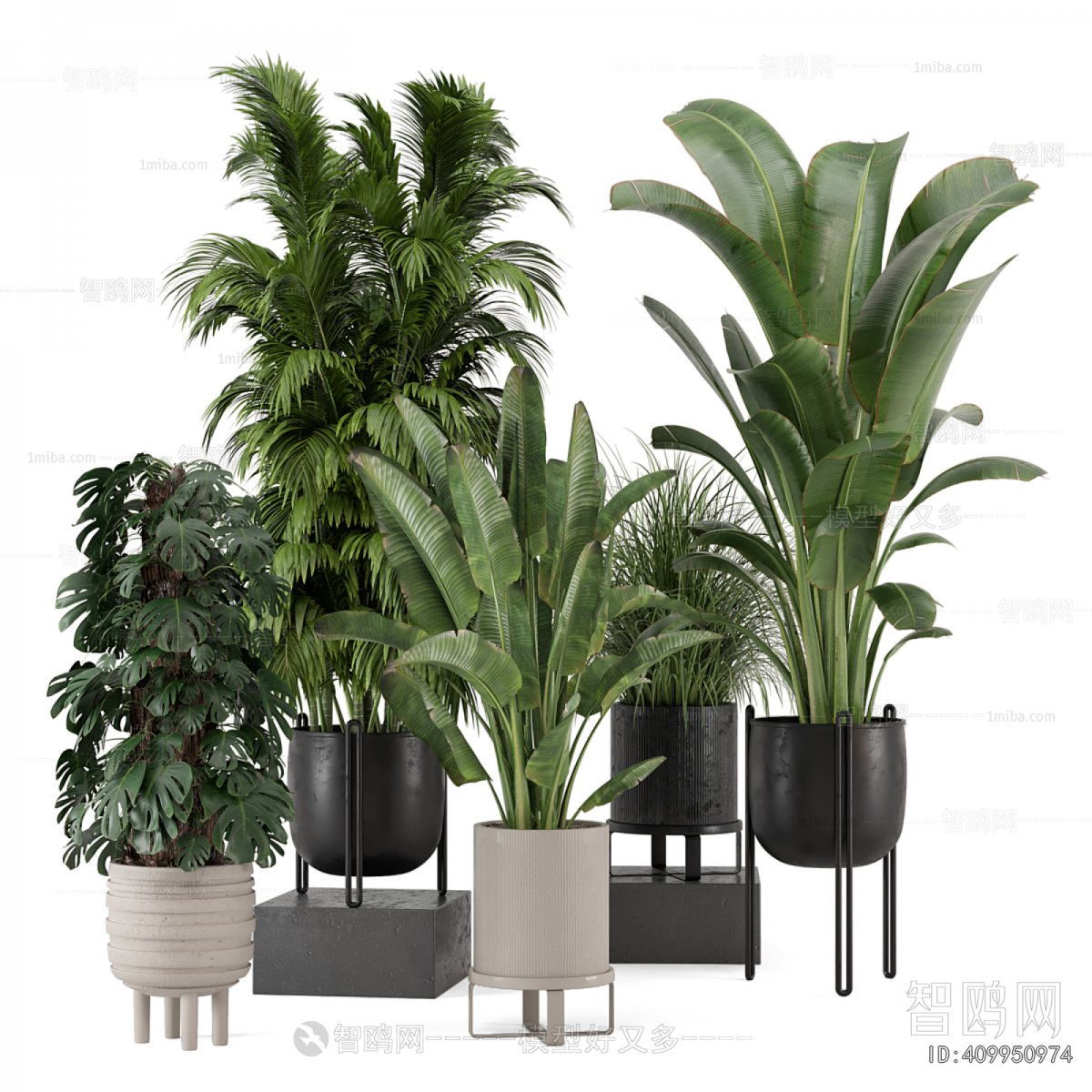 Modern Ground Green Plant Potted Plants