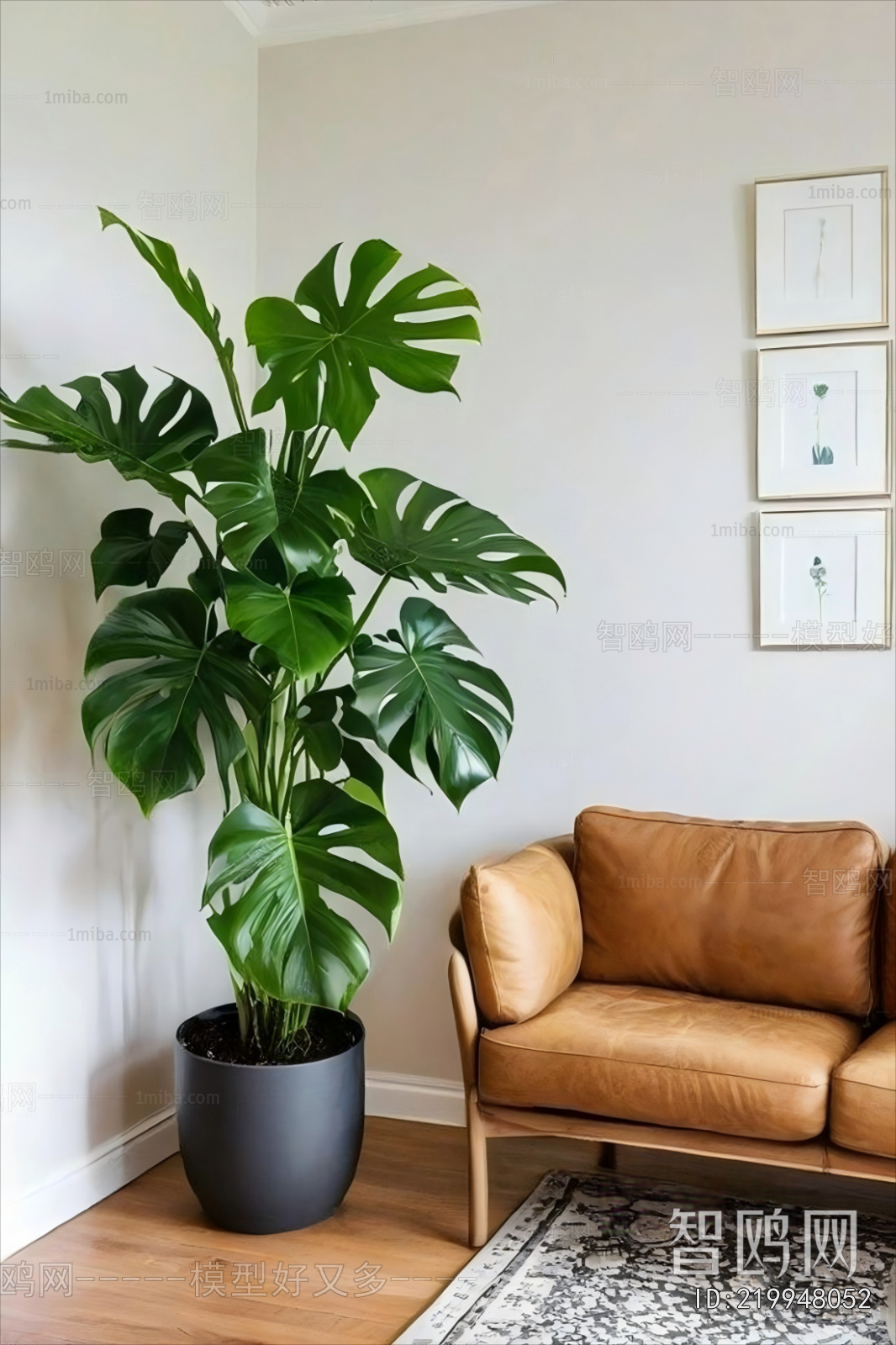 Modern Ground Green Plant Potted Plants