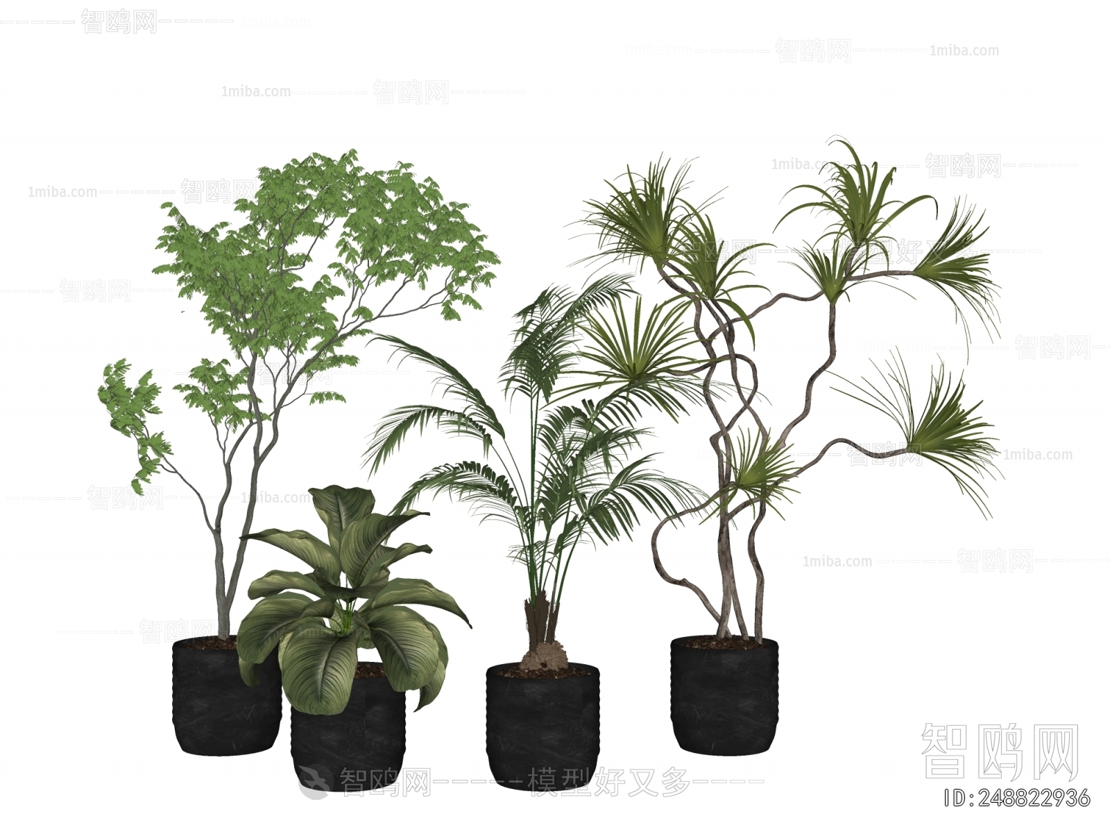 Modern Ground Green Plant Potted Plants