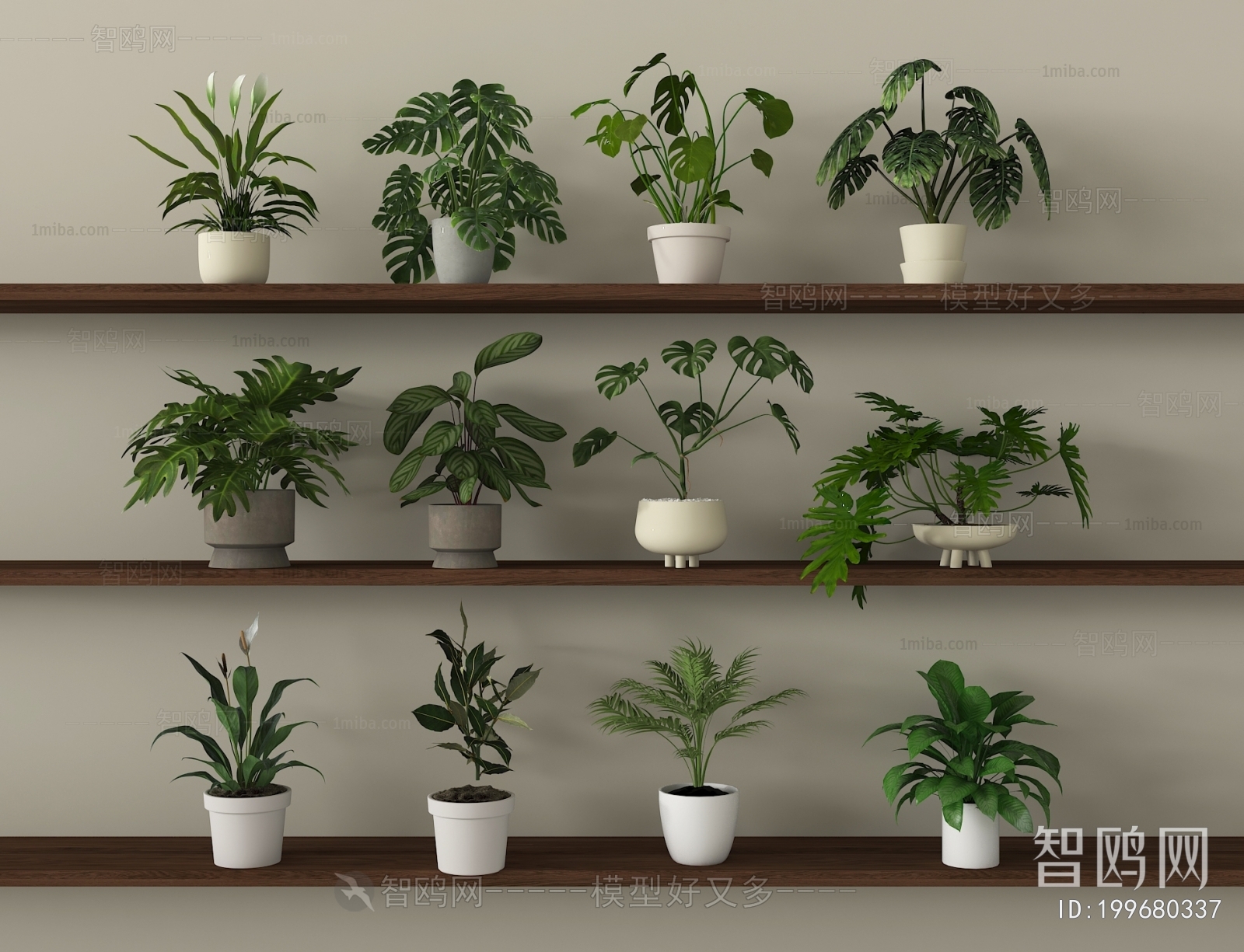 Modern Potted Green Plant