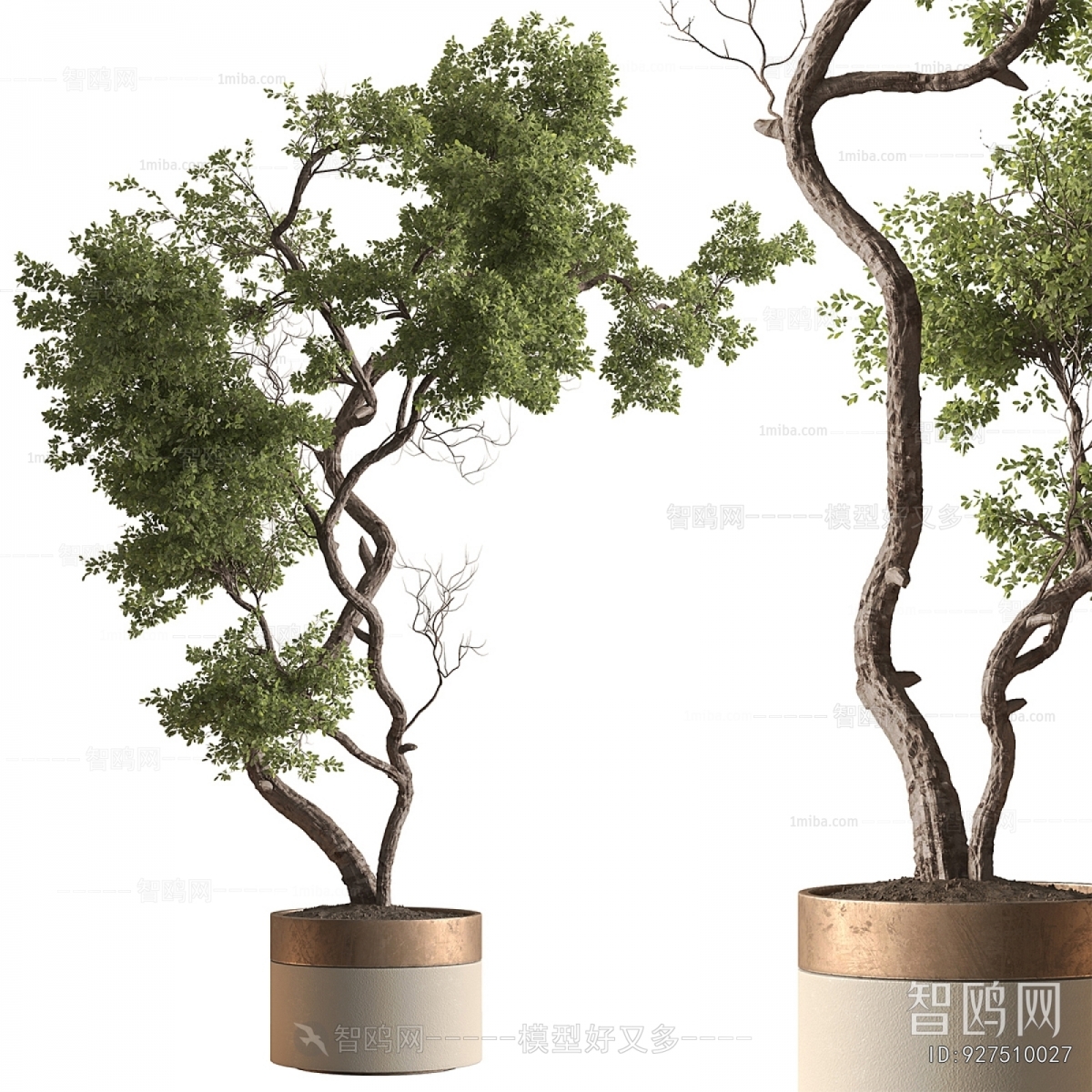 Modern Ground Green Plant Potted Plants