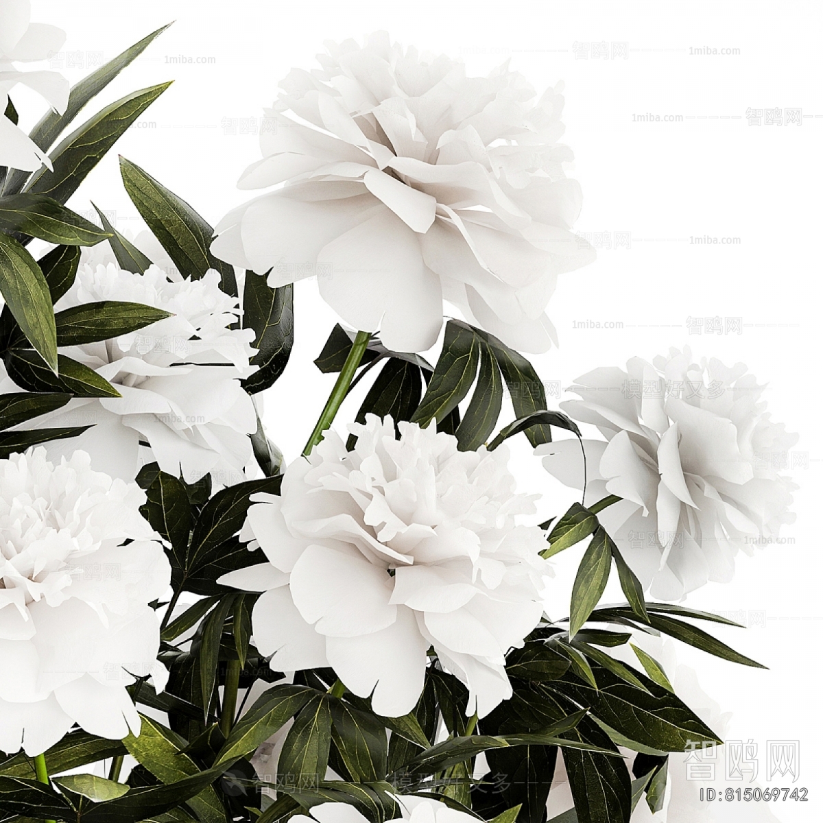 Modern Flower Arrangement