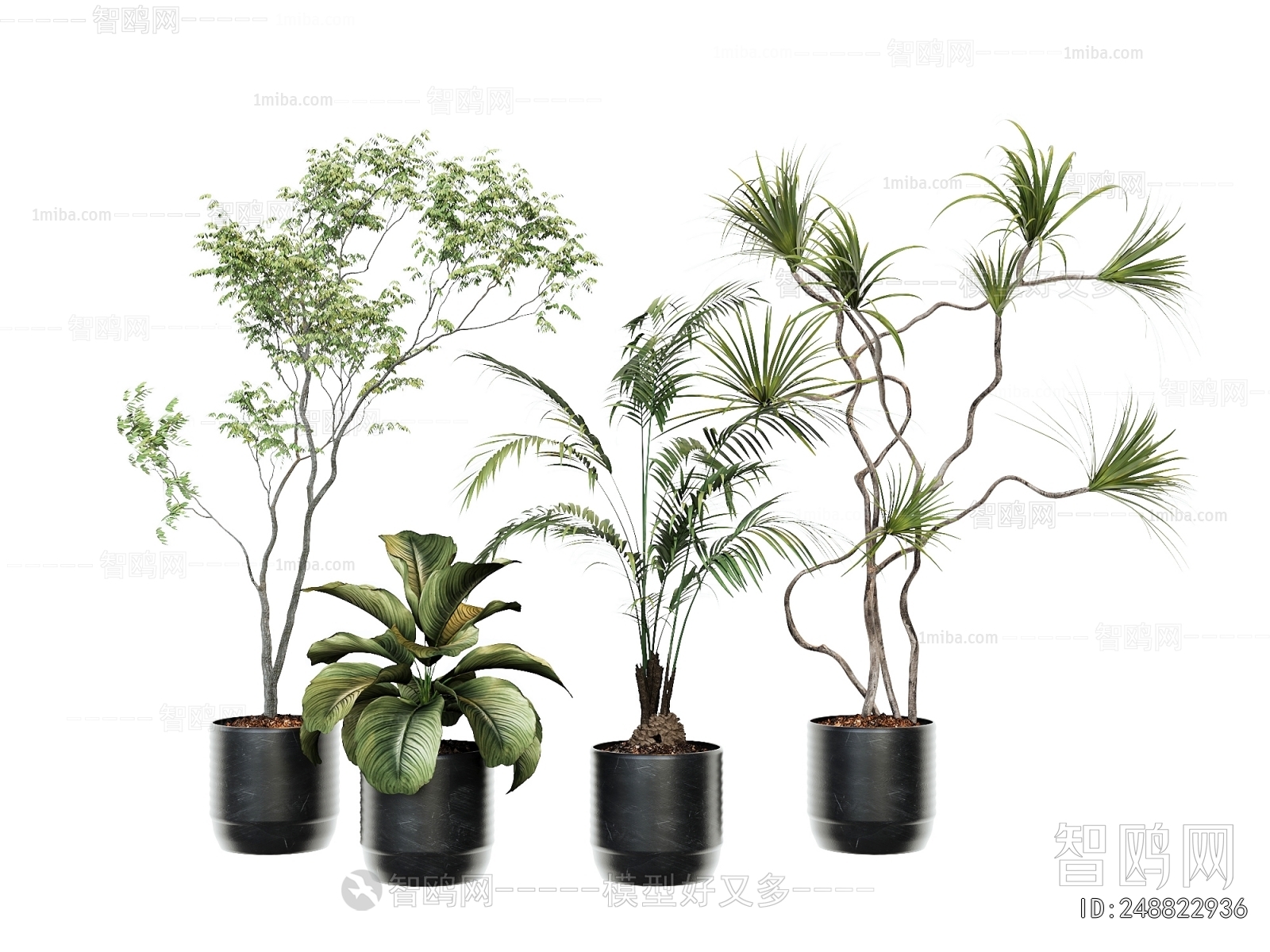 Modern Ground Green Plant Potted Plants