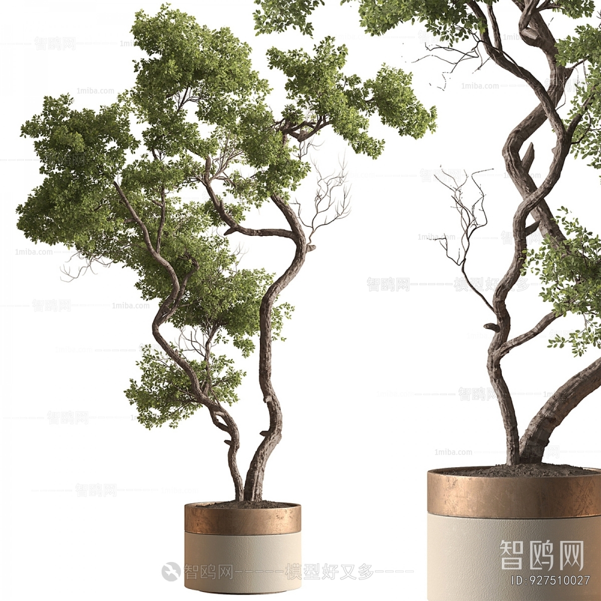 Modern Ground Green Plant Potted Plants