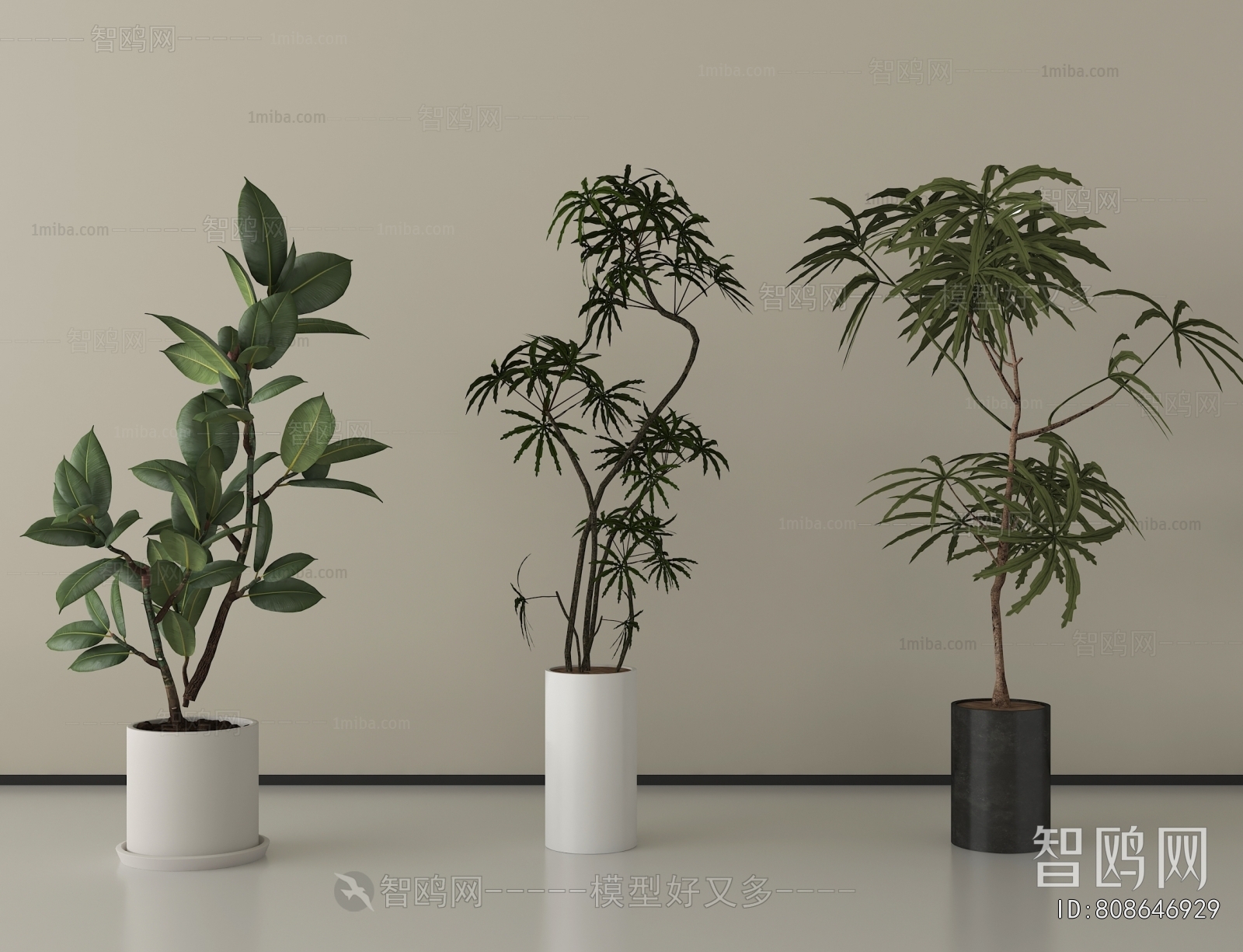 Modern Ground Green Plant Potted Plants