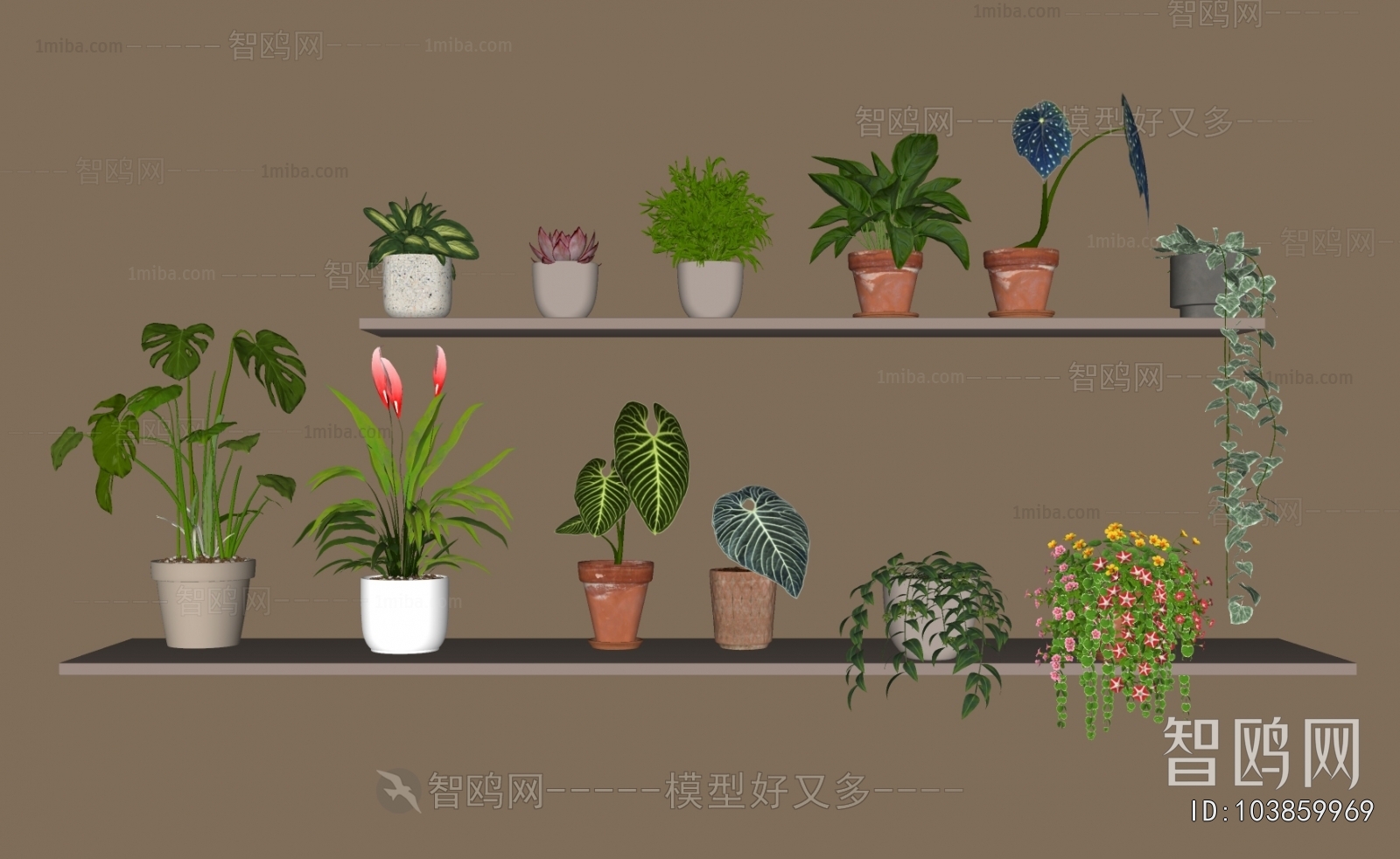 Modern Desktop Plant