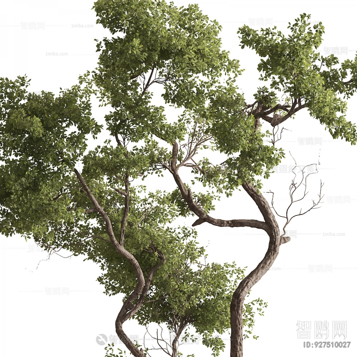 Modern Ground Green Plant Potted Plants