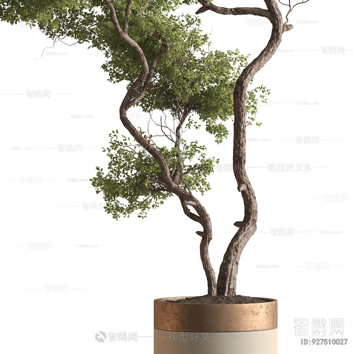 Modern Ground Green Plant Potted Plants