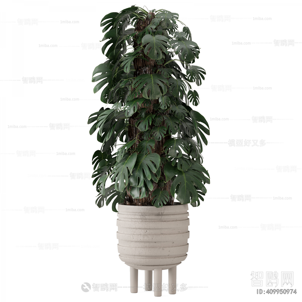 Modern Ground Green Plant Potted Plants