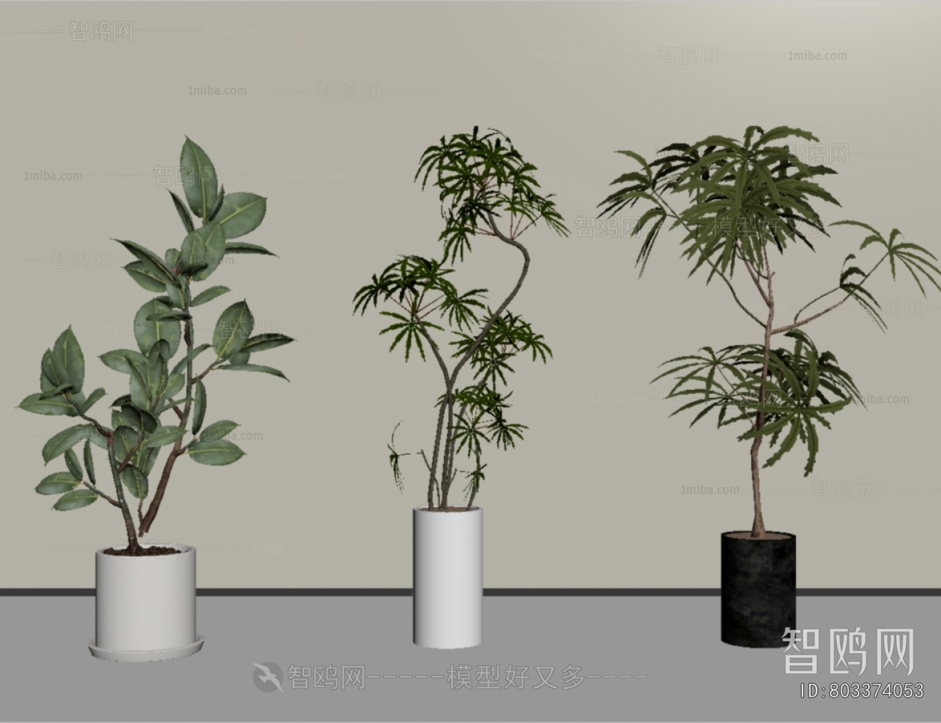 Modern Ground Green Plant Potted Plants
