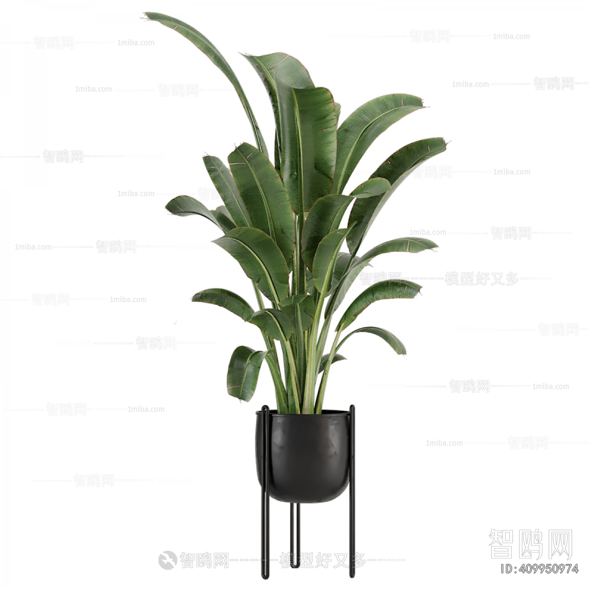 Modern Ground Green Plant Potted Plants