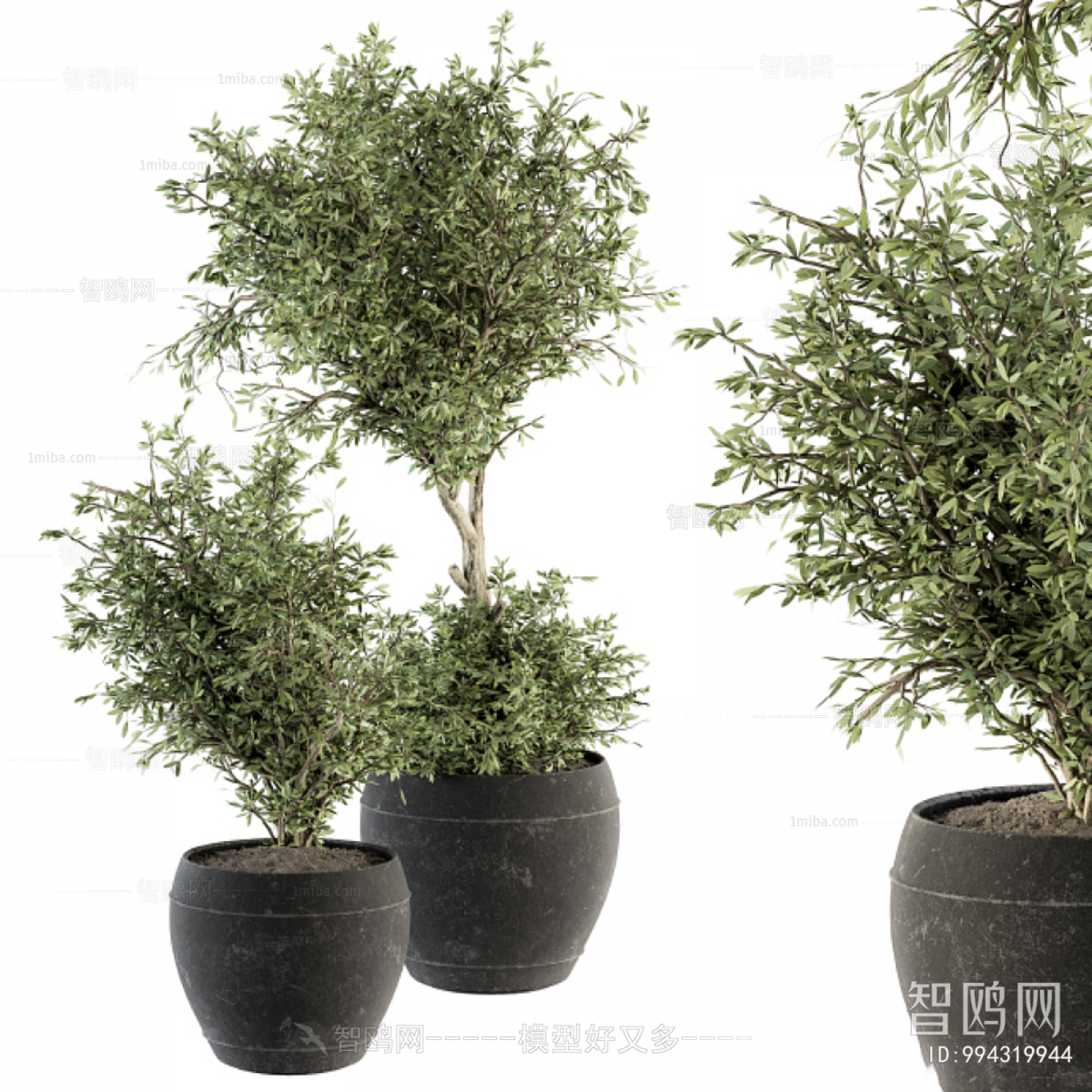 Modern Ground Green Plant Potted Plants