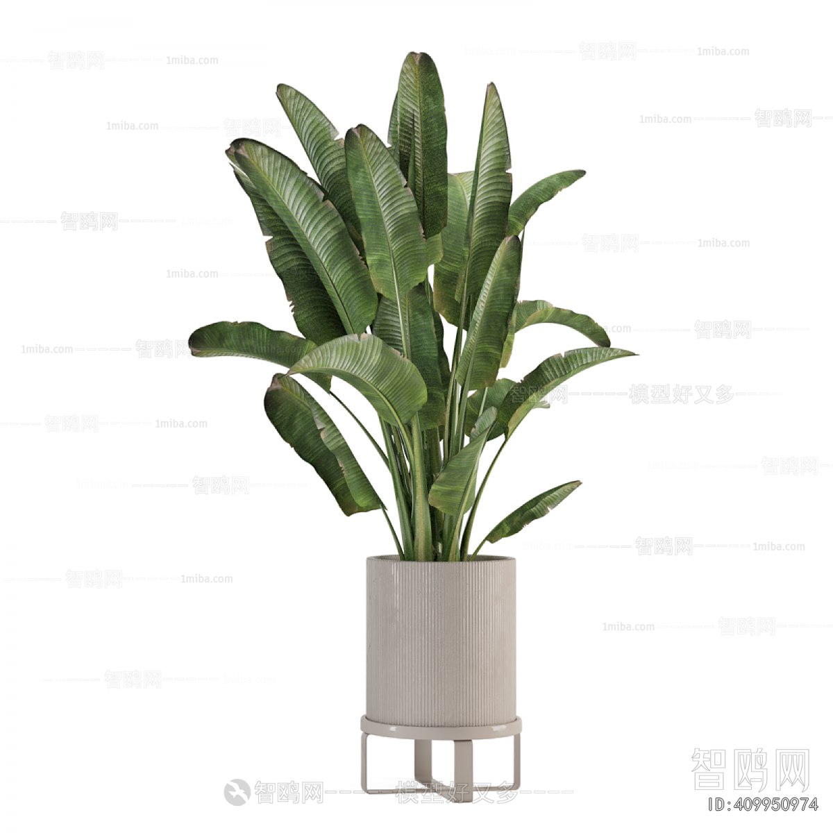 Modern Ground Green Plant Potted Plants