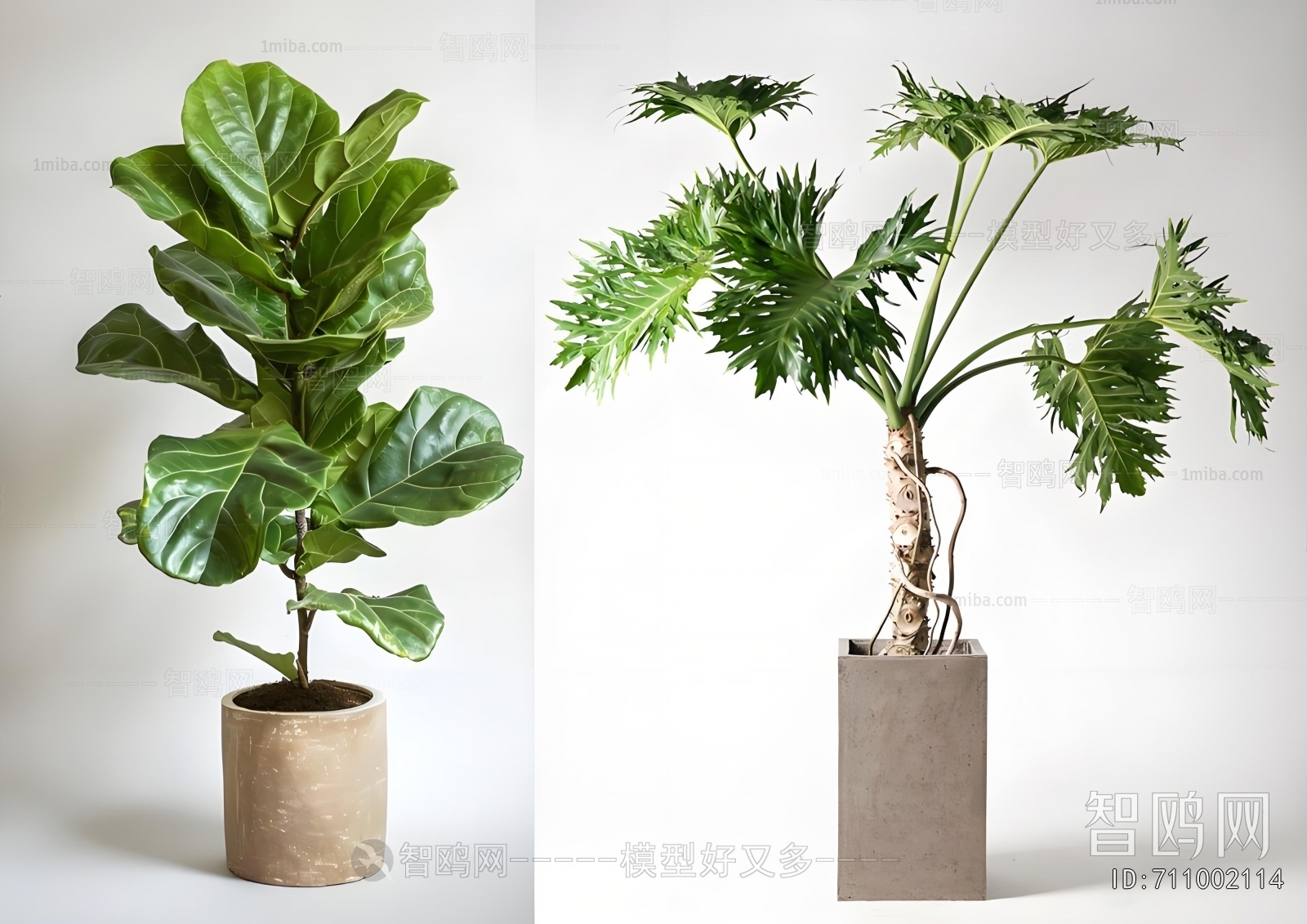Modern Ground Green Plant Potted Plants