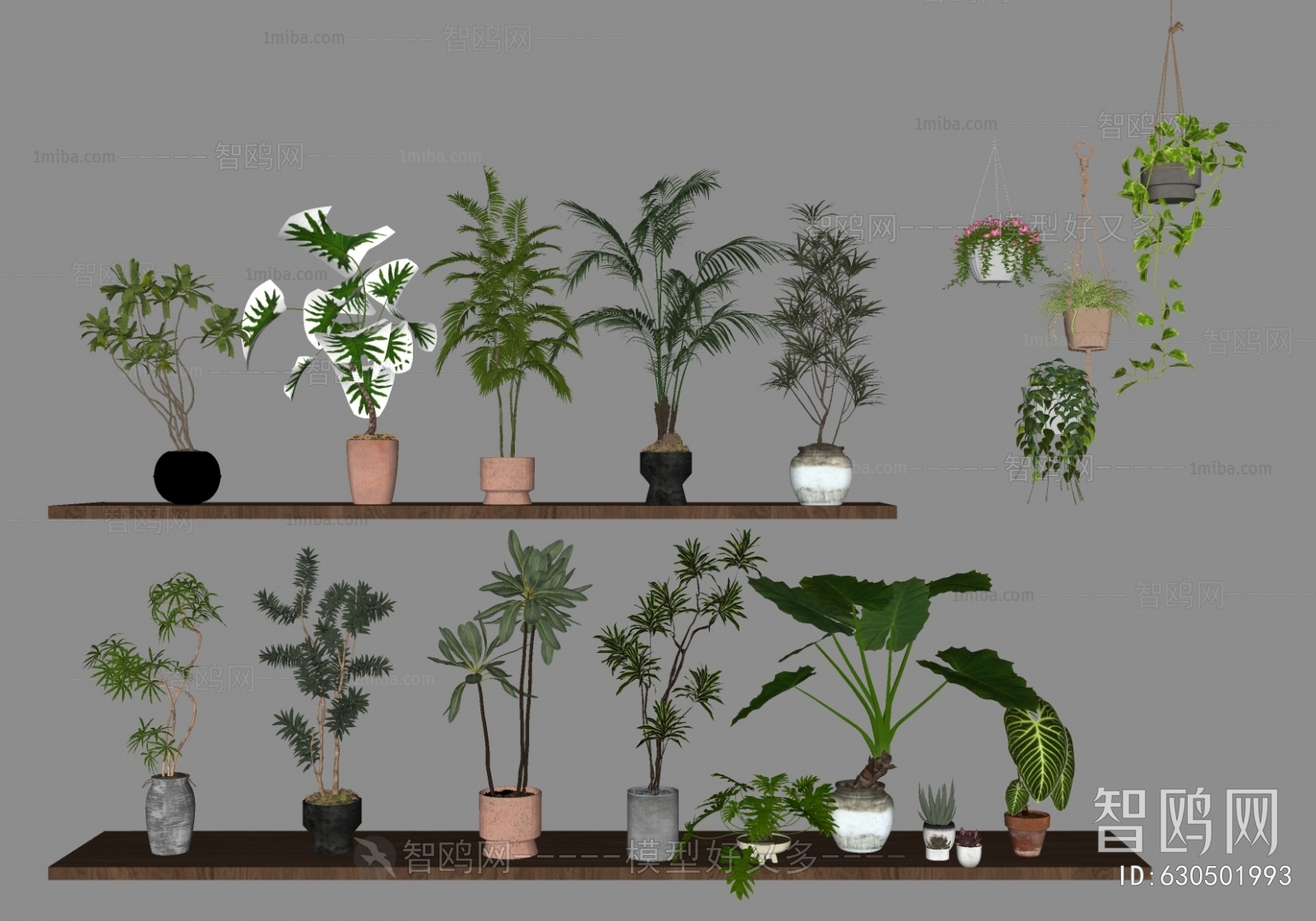 Modern Potted Green Plant