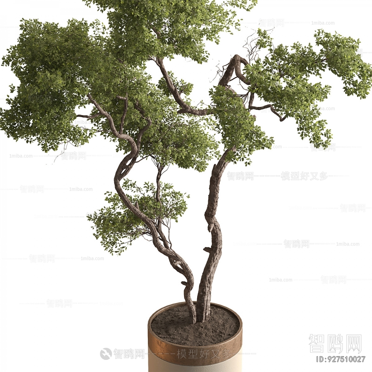 Modern Ground Green Plant Potted Plants