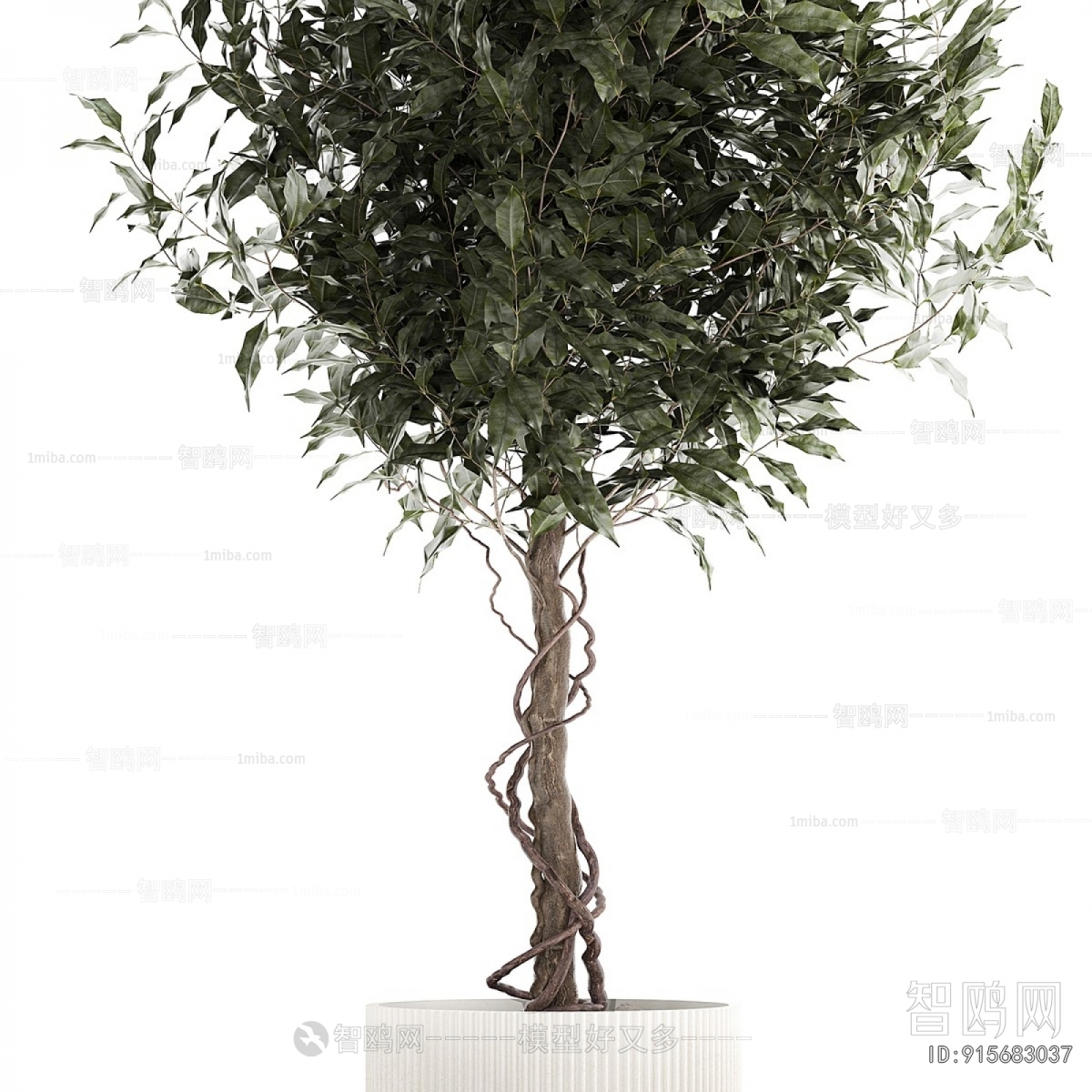 Modern Ground Green Plant Potted Plants