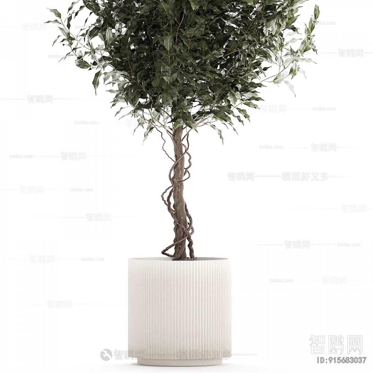 Modern Ground Green Plant Potted Plants