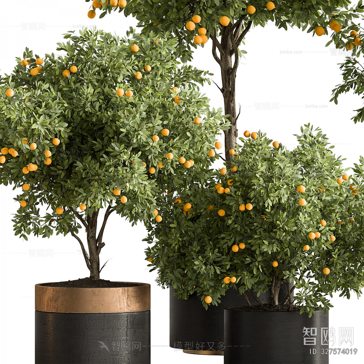 Modern Ground Green Plant Potted Plants