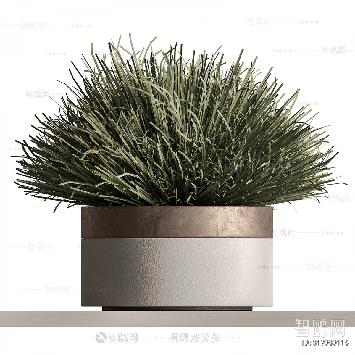 Modern Potted Green Plant