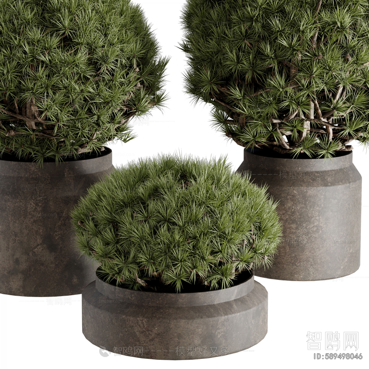 Modern Ground Green Plant Potted Plants