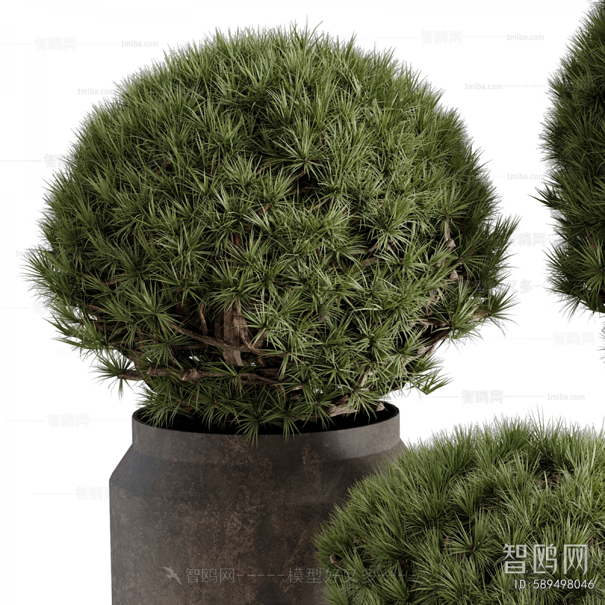 Modern Ground Green Plant Potted Plants