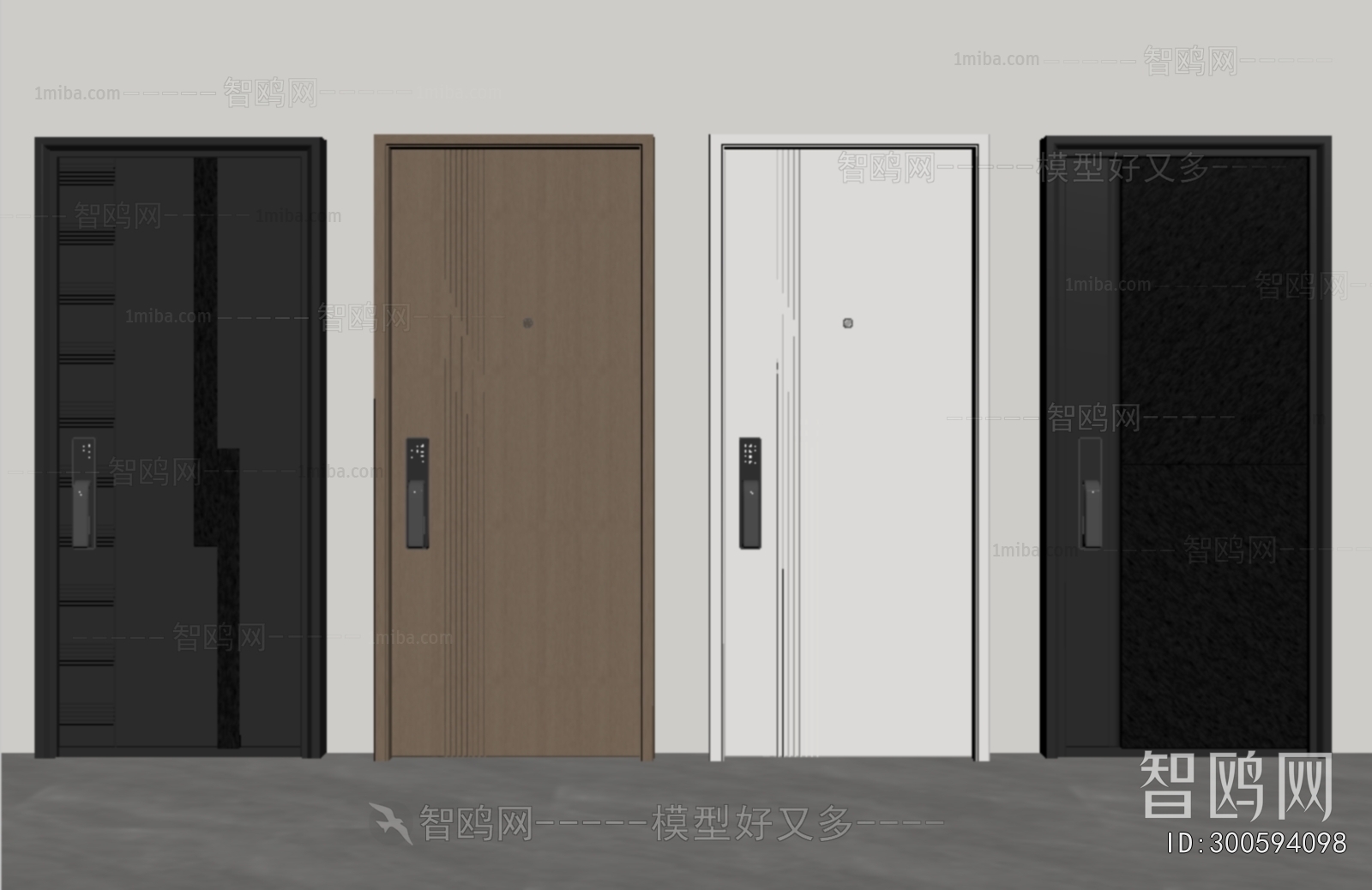 Modern Entrance Door