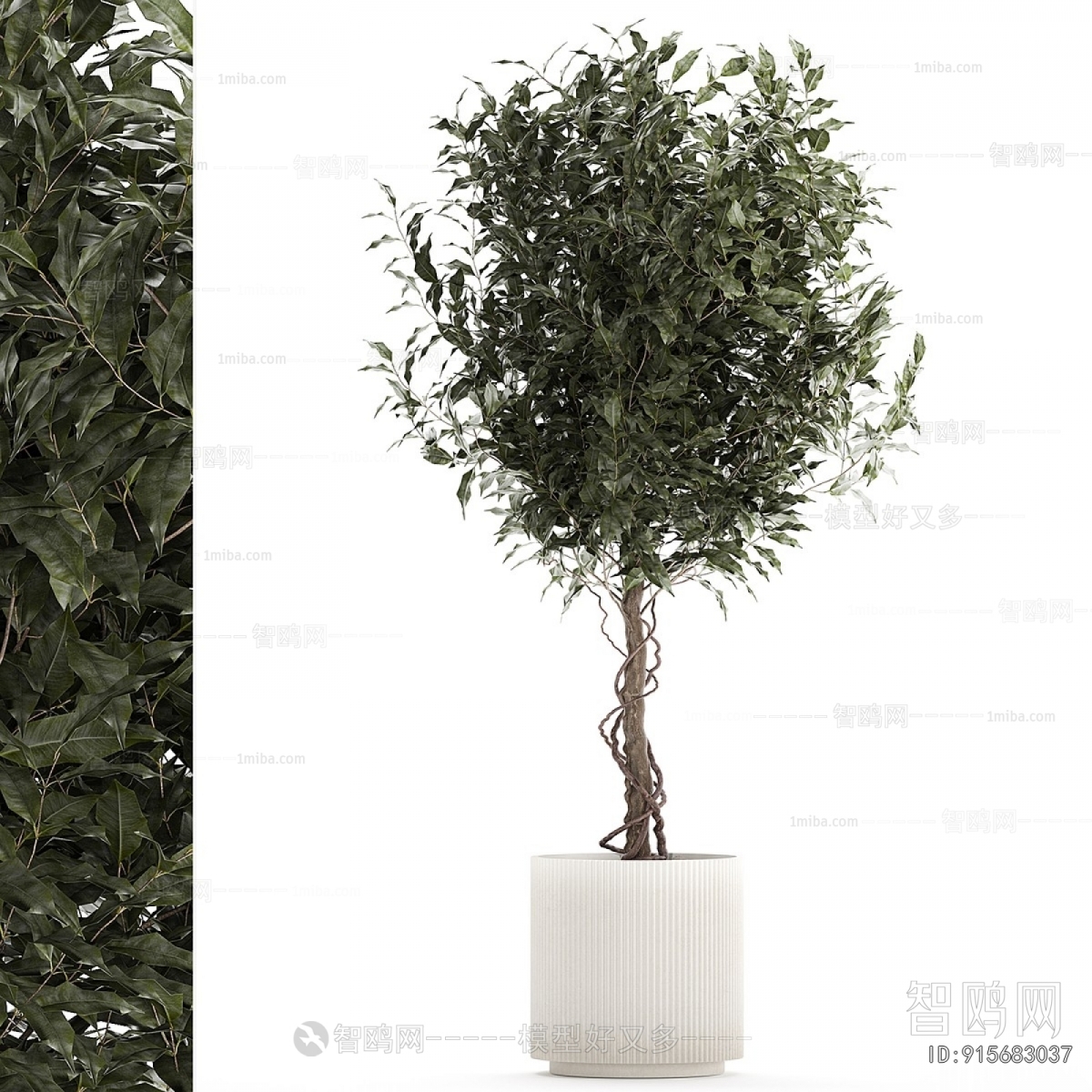 Modern Ground Green Plant Potted Plants