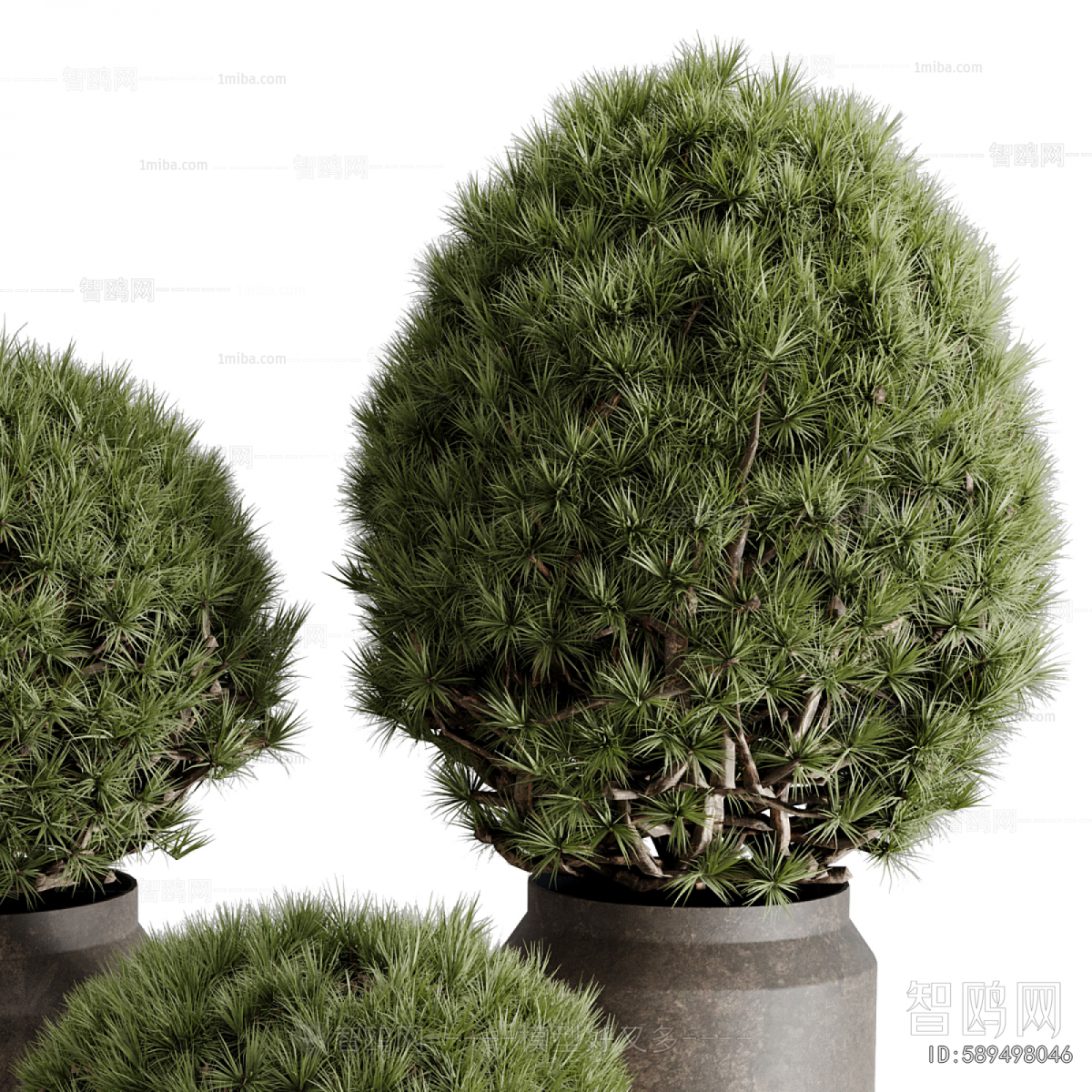 Modern Ground Green Plant Potted Plants