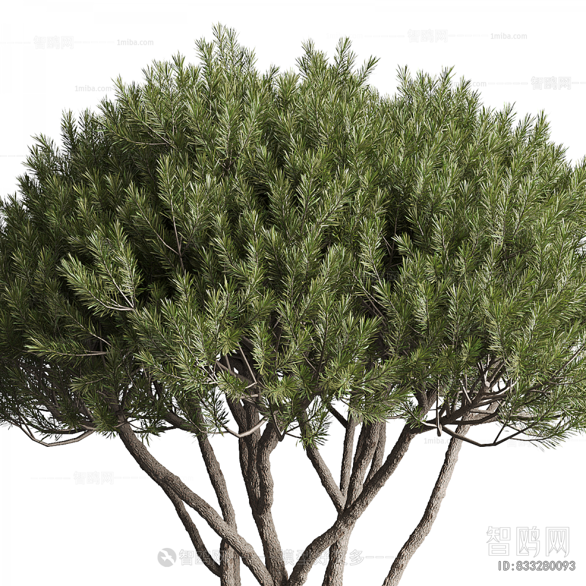 Modern Ground Green Plant Potted Plants