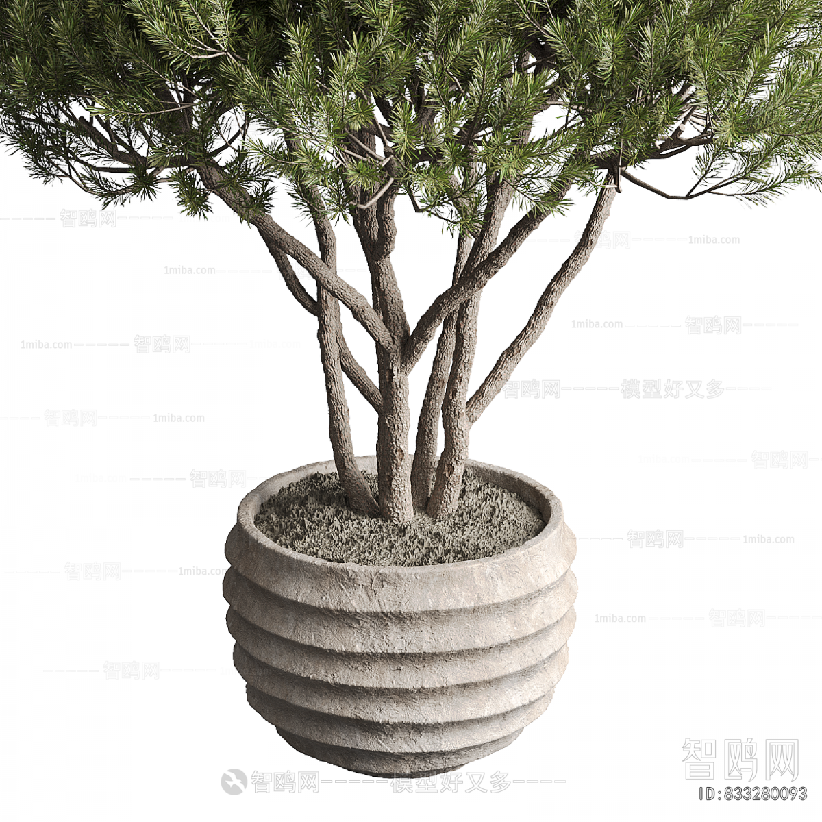 Modern Ground Green Plant Potted Plants