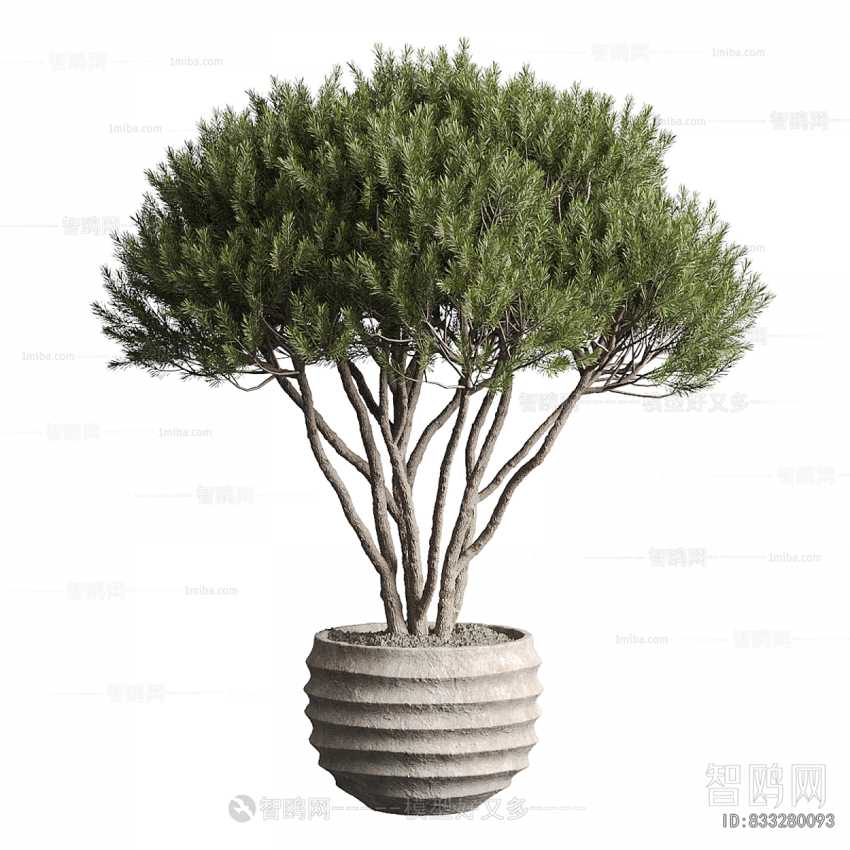 Modern Ground Green Plant Potted Plants