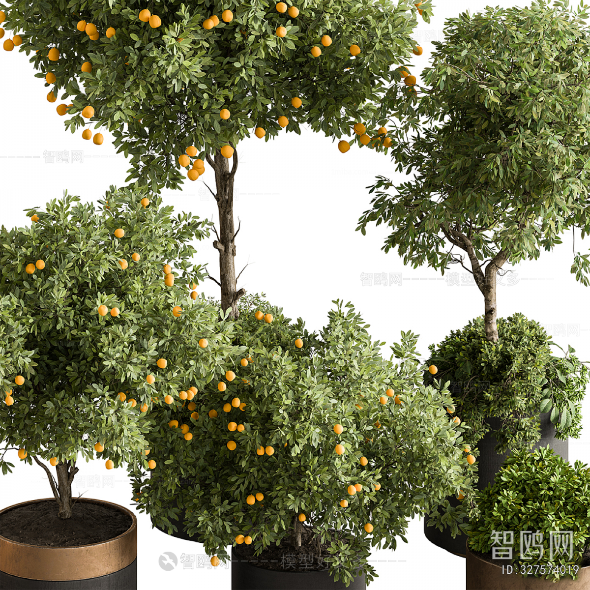 Modern Ground Green Plant Potted Plants