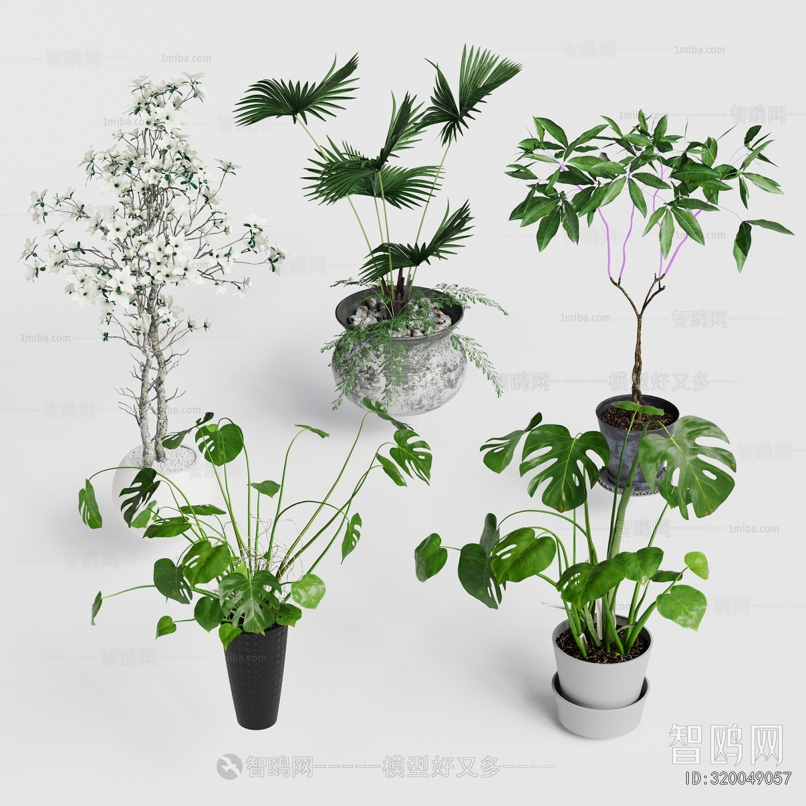 Modern Potted Green Plant