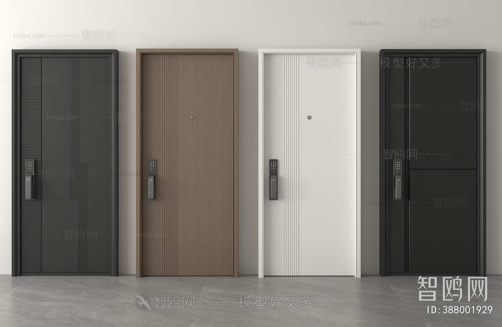 Modern Entrance Door