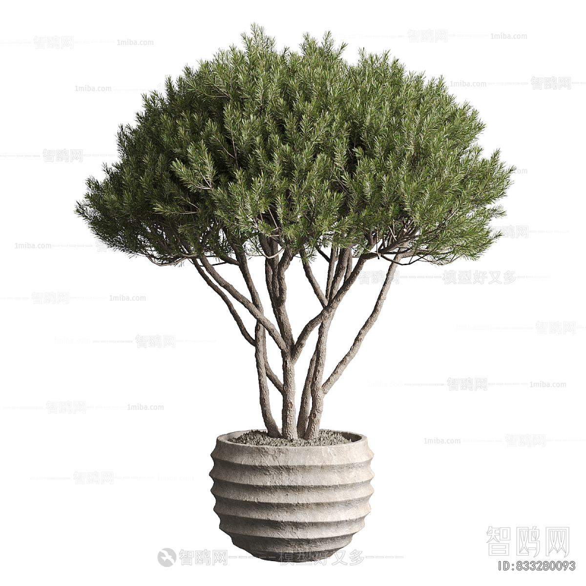 Modern Ground Green Plant Potted Plants