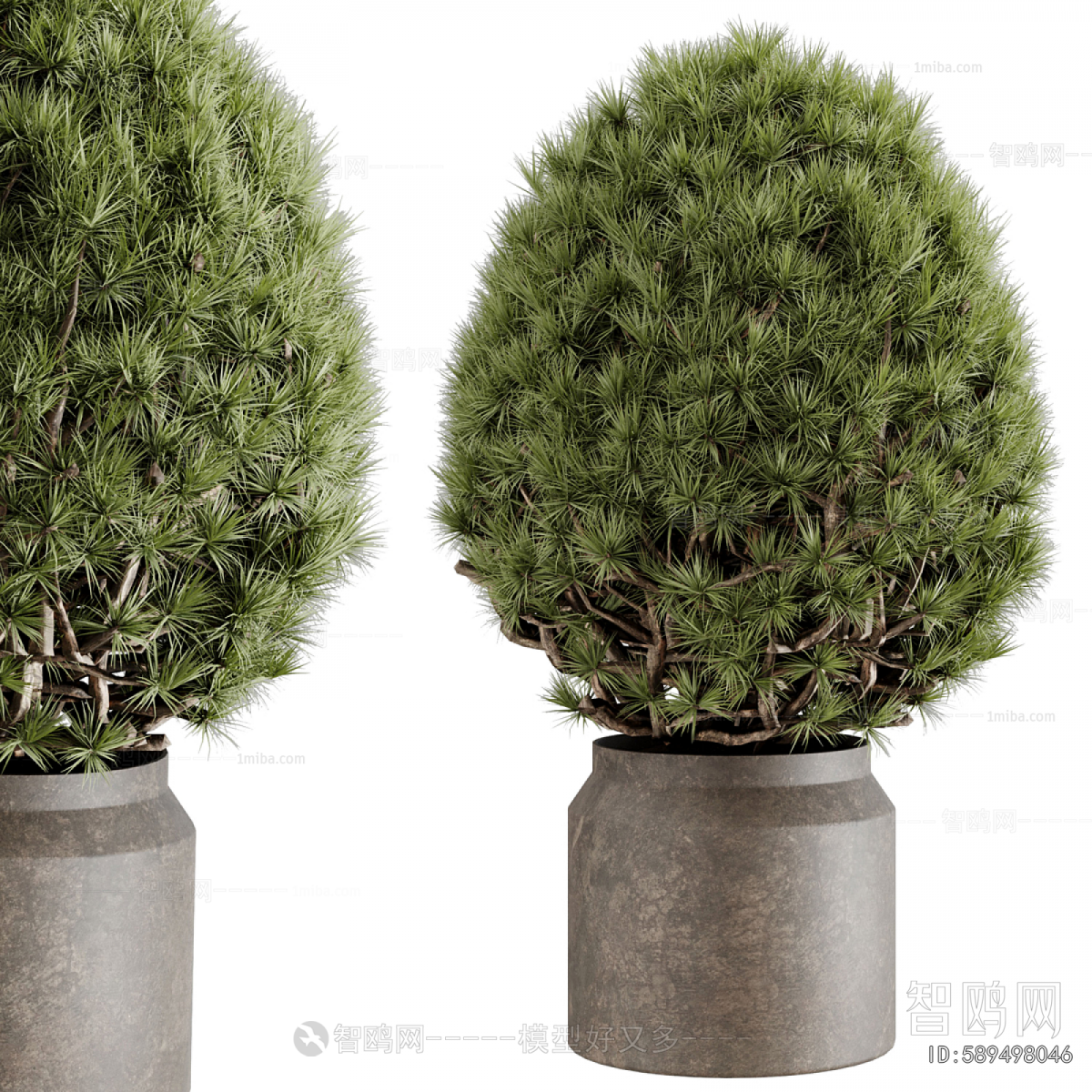 Modern Ground Green Plant Potted Plants
