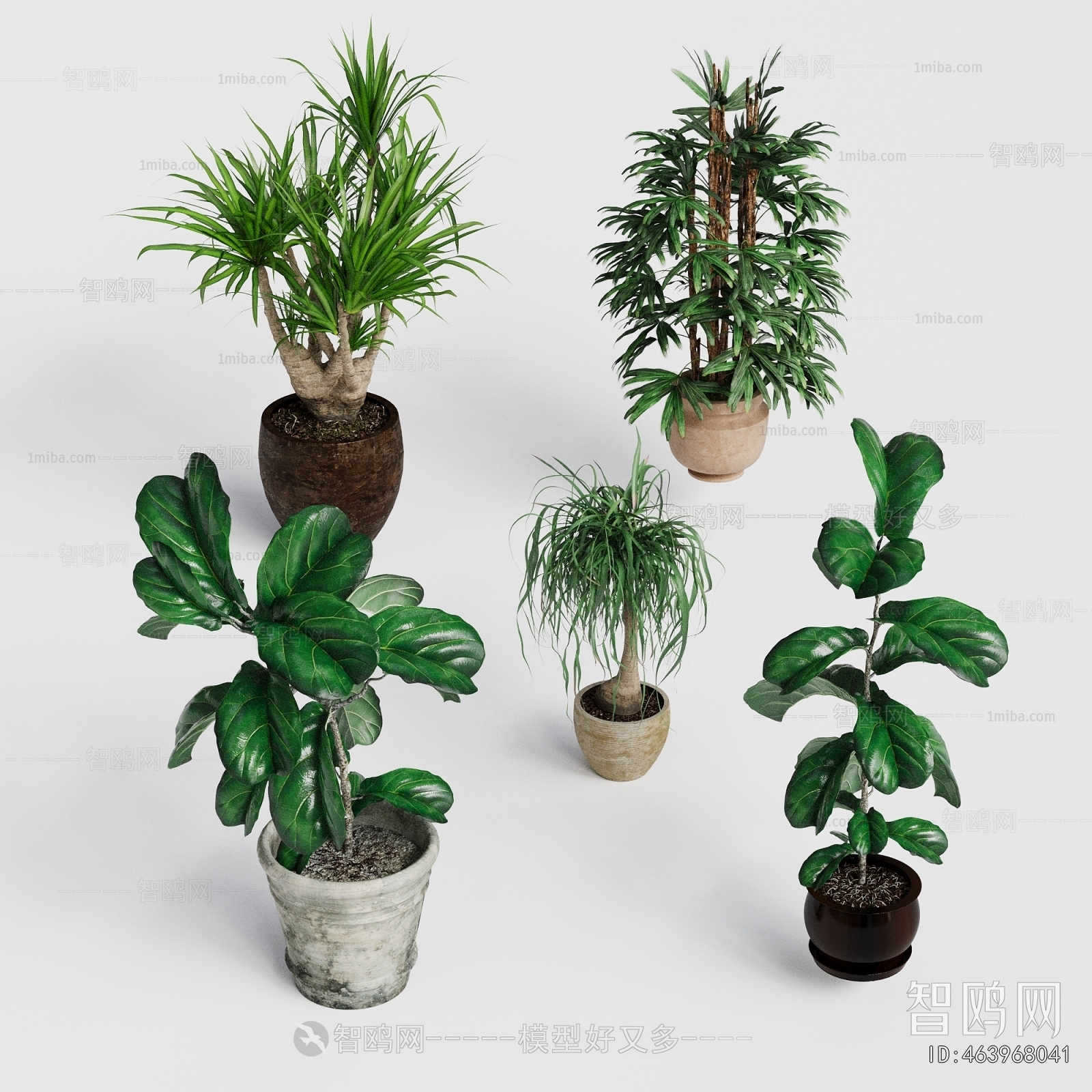 Modern Potted Green Plant