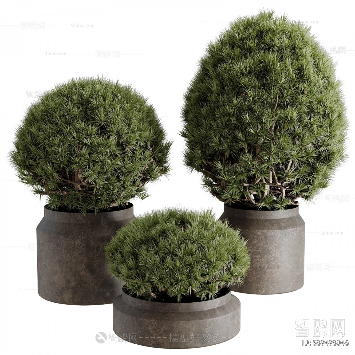 Modern Ground Green Plant Potted Plants