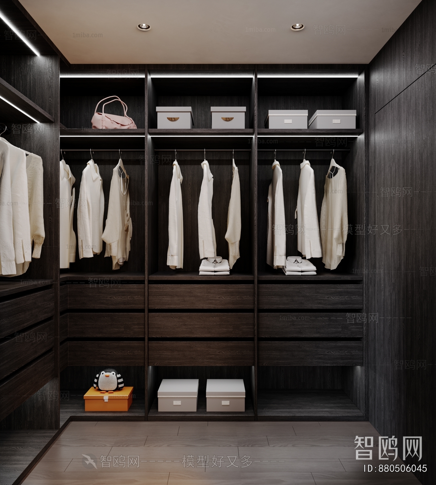 Modern Clothes Storage Area