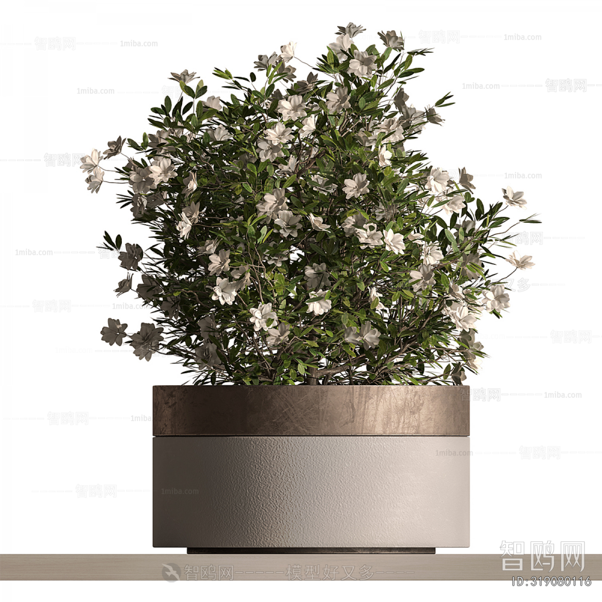 Modern Potted Green Plant