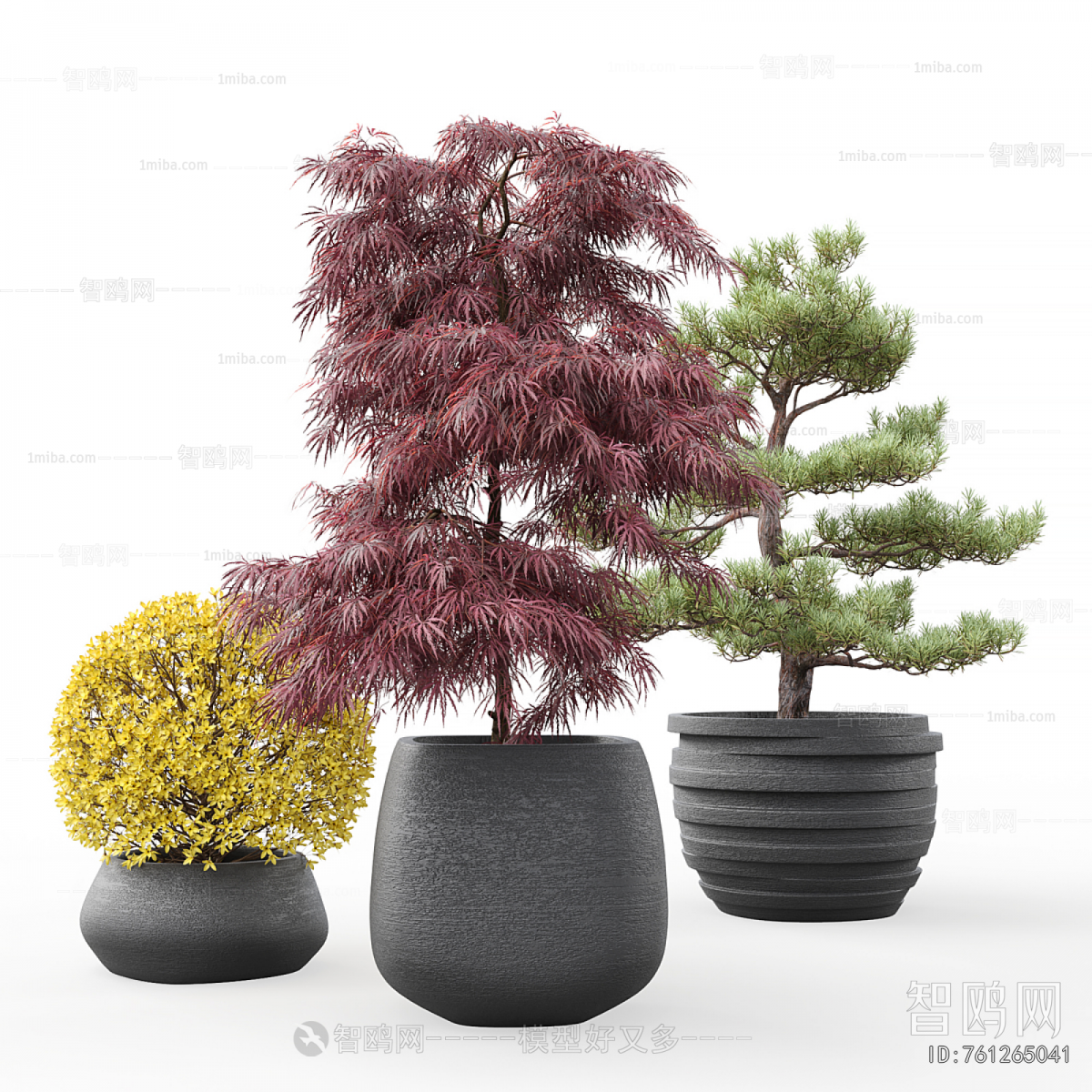 Modern Potted Green Plant