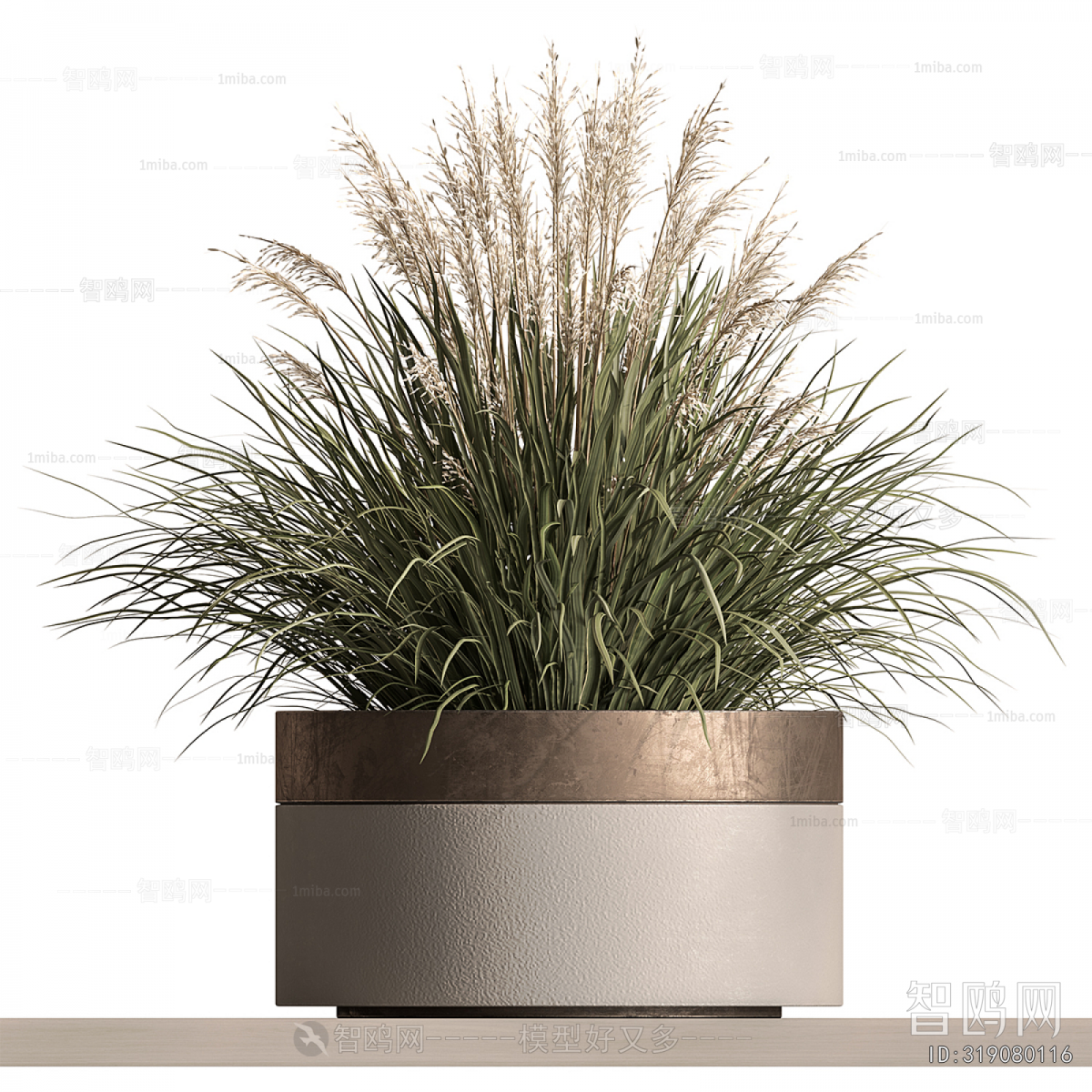 Modern Potted Green Plant