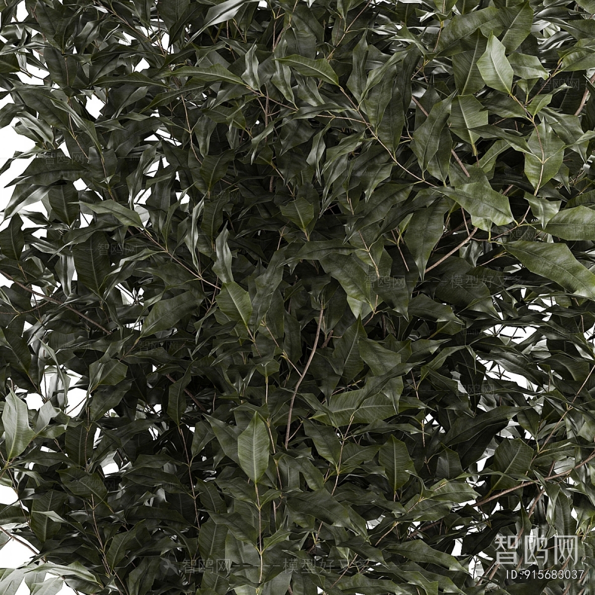 Modern Ground Green Plant Potted Plants