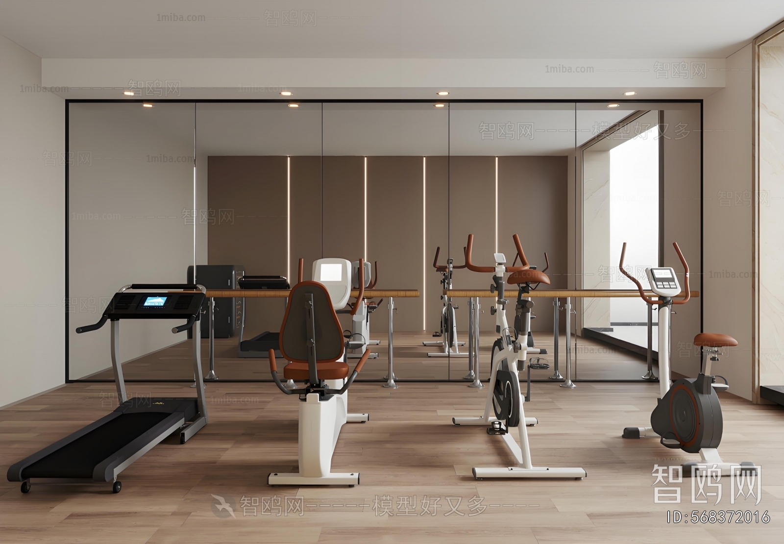 Modern Home Fitness Room